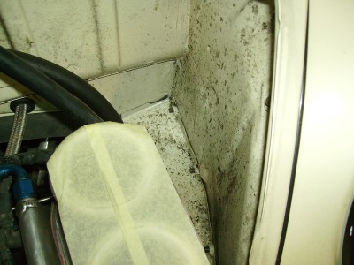 IMGP0126.JPG (74.75 Kio) Vu 4432 fois Il y en avait partout