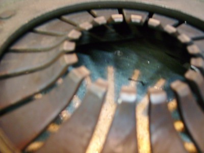 IMGP0140.JPG (48.29 Kio) Vu 4432 fois Bien bouffé!