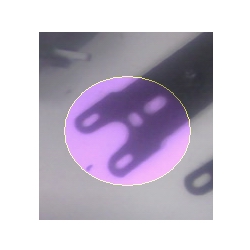 .jpg
