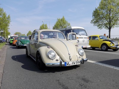 IMG_20170501_104235.jpg (103.07 Kio) Vu 9712 fois Gros t4