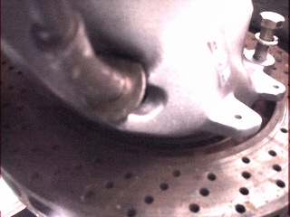 dsc01557v.jpg