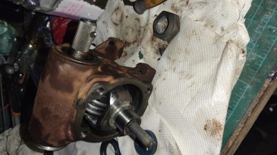 IMG_20250709_073253.jpg