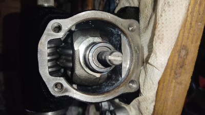 IMG_20250712_113316.jpg