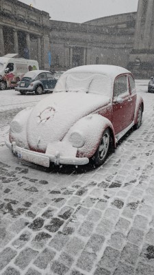 2026-02-15 17.01.38.jpg