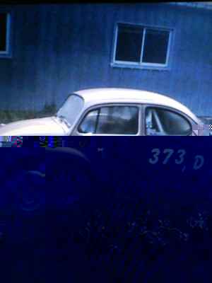 DSC00377.JPG (353.33 Kio) Vu 7065 fois AVANT.................................