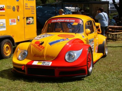 Raschigbug.jpg