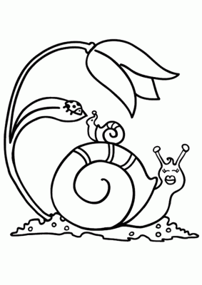 coloriage-escargot-tulipe-coccinelle-1044.gif